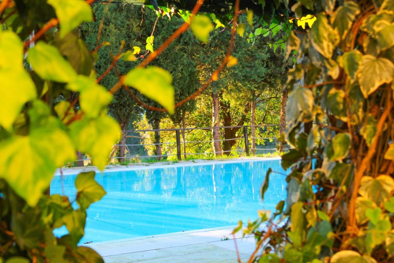 Coimbra Camping & Bungalows Екстер'єр фото